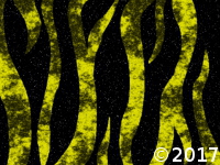 yellow zebra strips
